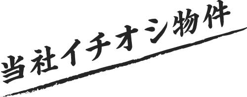 今週のイチオシ